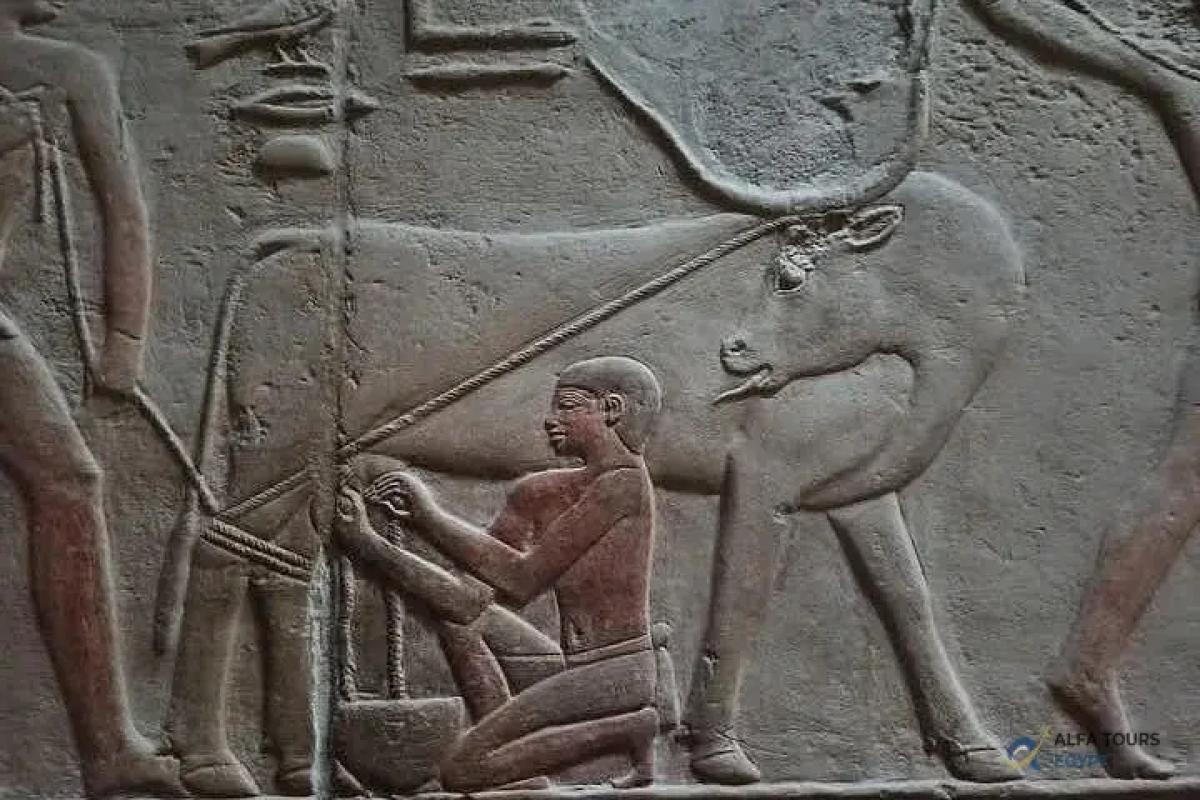 Saqqara , Memphis and Dahsur