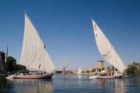Nile Felucca