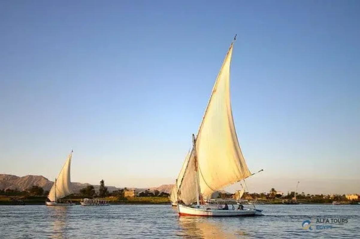 Nile Felucca